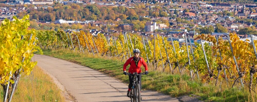 Fernstudium Internationales Wirtschaftsrecht in Baden-Württemberg