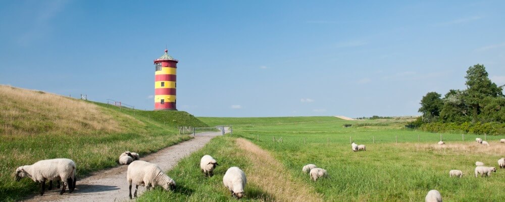 Bachelor Wirtschaftsrecht in Niedersachsen?